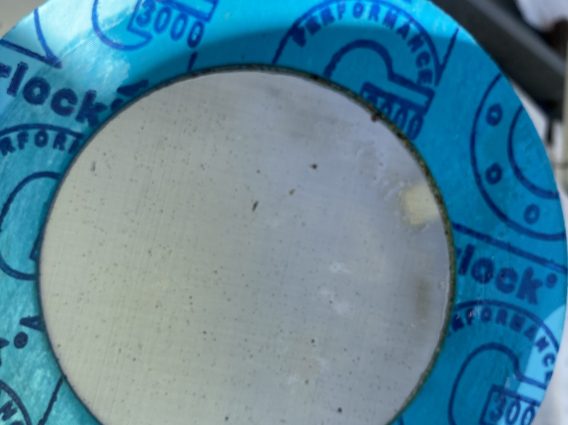 IMG_0463